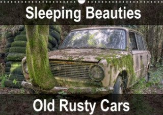 Sleeping Beauties Old Rusty Cars 2018