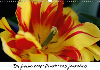 Du Jaune Pour Fleurir Vos Journees 2018