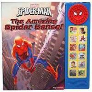 Spiderman Deluxe Custom Frame