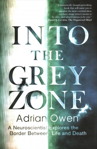 Into the Grey Zone