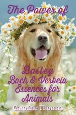 Power of Bailey, Bach & Verbeia Essences for Animals