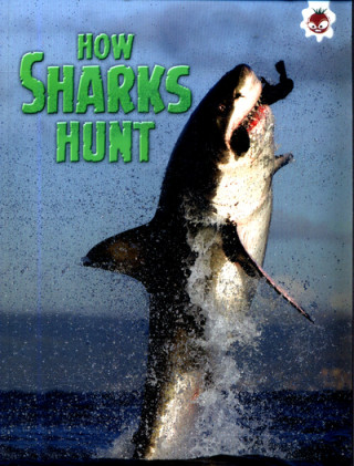 Shark! How Sharks Hunt
