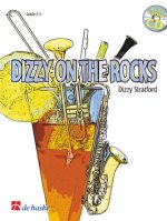 DIZZY ON THE ROCKS