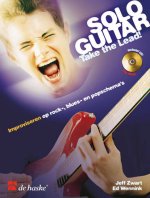 SOLO GUITAR TAKE THE LEAD D