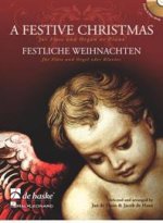 FESTIVE CHRISTMAS