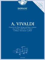 CONCERTO FOR FLUTE STRINGS & BASSO CONTI