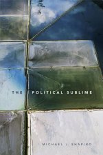 Political Sublime