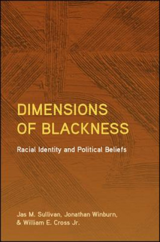 Meaning-Making, Internalized Racism, and African American Identity
