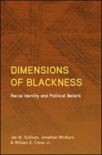 Meaning-Making, Internalized Racism, and African American Identity