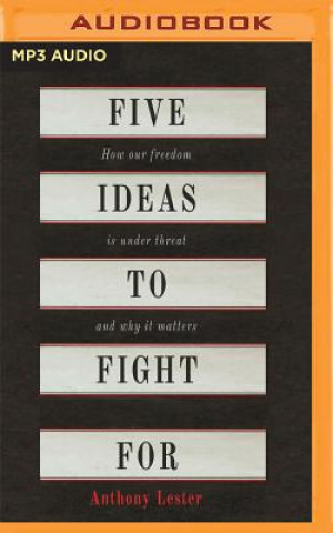 5 IDEAS TO FIGHT FOR         M