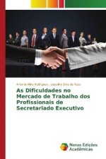 As Dificuldades no Mercado de Trabalho dos Profissionais de Secretariado Executivo
