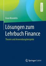 Loesungen Zum Lehrbuch Finance