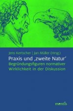 Praxis und 'zweite Natur'