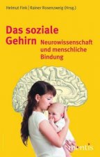 Sinne, Gehirn und Geist