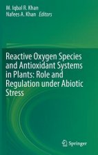 Reactive Oxygen Species and Antioxidant Systems in Plants: Role and Regulation under Abiotic Stress