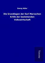 Die Grundlagen der Karl Marxschen Kritik der bestehenden Volkswirtschaft