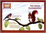 Kamishibai: Das kleine Eichhörnchen