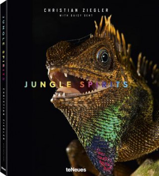 Jungle Spirits