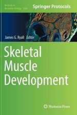 Skeletal Muscle Development