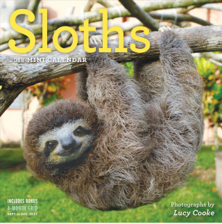 Sloths Mini Wall Calendar 2018