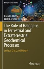 Role of Halogens in Terrestrial and Extraterrestrial Geochemical Processes