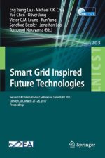 Smart Grid Inspired Future Technologies