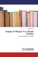 Usage of Biogas in a Diesel Engine