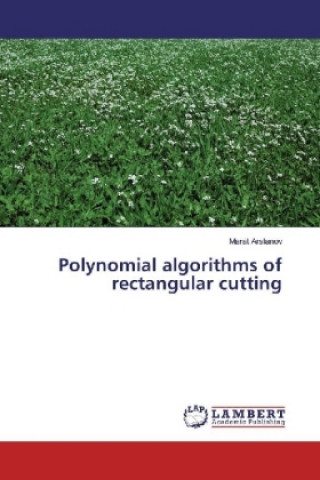 Polynomial algorithms of rectangular cutting