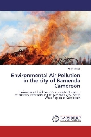 Environmental Air Pollution in the city of Bamenda Cameroon