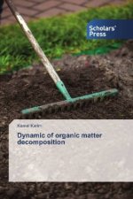 Dynamic of organic matter decomposition