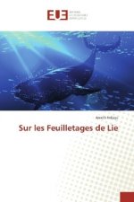 Sur les Feuilletages de Lie