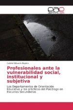 Profesionales ante la vulnerabilidad social, institucional y subjetiva