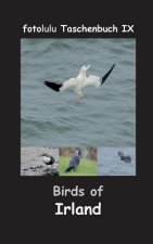 Birds of Irland