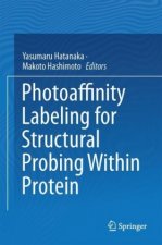Photoaffinity Labeling for Structural Probing Within Protein
