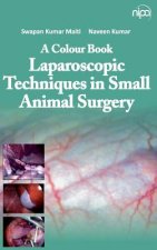 Colour Book Laparoscopic Techniques in Small Animal Surgery