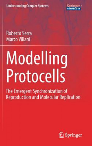 Modelling Protocells