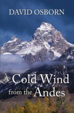 Cold Wind from the Andes