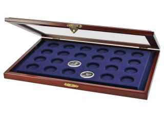 Münzvitrine für 10 Euro und 20 Euro- Münzen in Dosen (Jucărie)