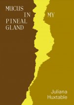 Mucus in My Pineal Gland
