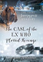 Case of the Ex Who Plotted Revenge