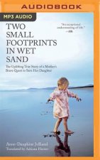 Two Small Footprints in Wet Sand: The Uplifting True Story of a Mother's Brave Quest to Save Her Daughter