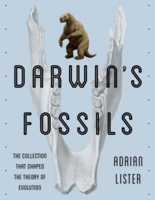 Darwin's Fossils: The Collection That Shaped the Theory of Evolution