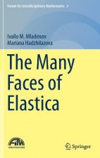 Many Faces of Elastica
