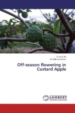 Off-season flowering in Custard Apple