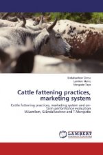 Cattle fattening practices, marketing system