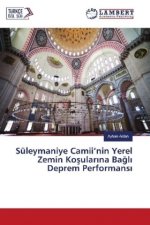 Süleymaniye Camii'nin Yerel Zemin Kosular na Bagl Deprem Performans