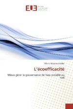 L'écoefficacité