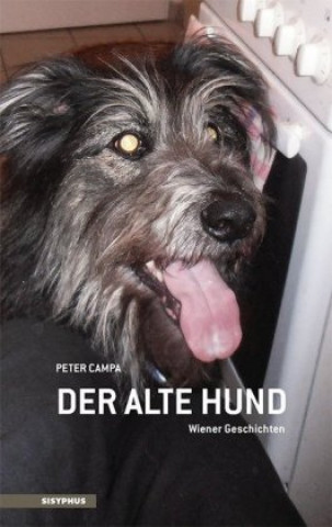 Der alte Hund