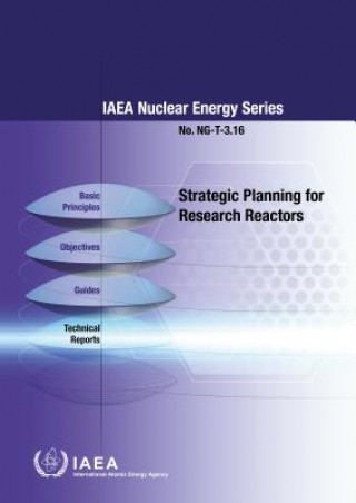 Strategic Planning for Research Reactors