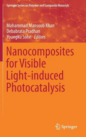 Nanocomposites for Visible Light-induced Photocatalysis